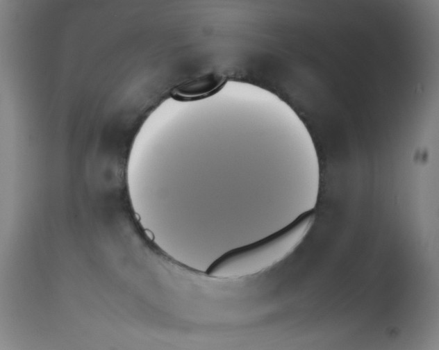 X0000112070039200909151059