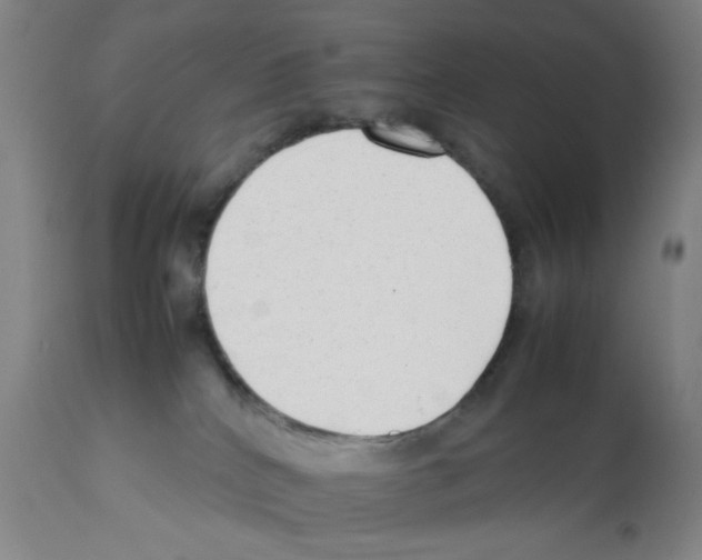 X0000112070040200909151059