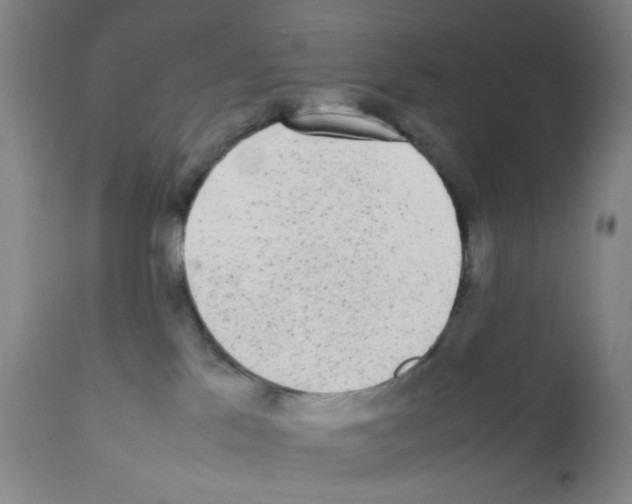 X0000112070041200909151059