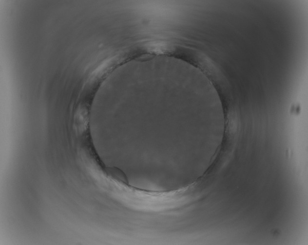 X0000112070043200909151059
