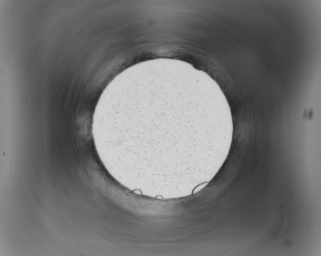 X0000112070044200909151059
