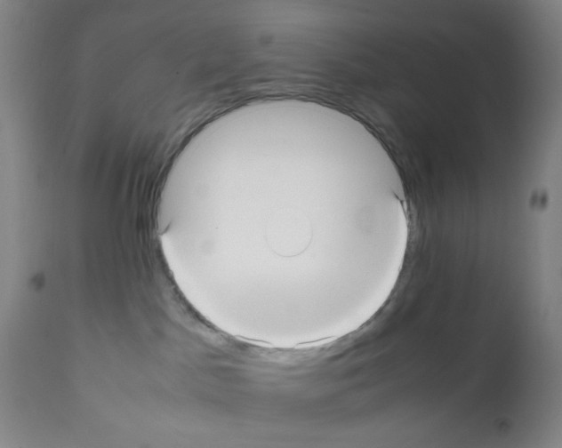 X0000112070045200909151059