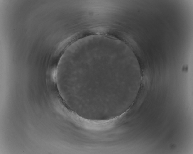 X0000112070047200909151059