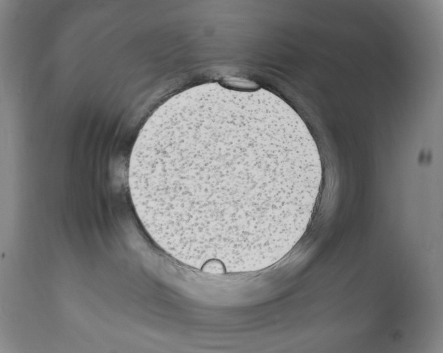 X0000112070048200909151059