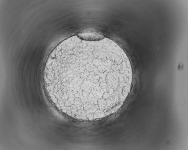 X0000112070049200909151058