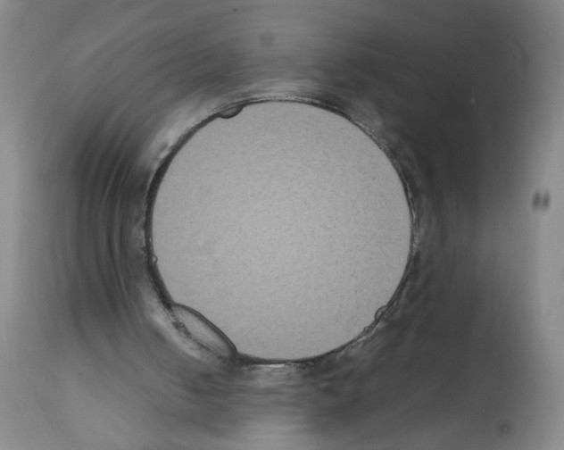 X0000112070050200909151058