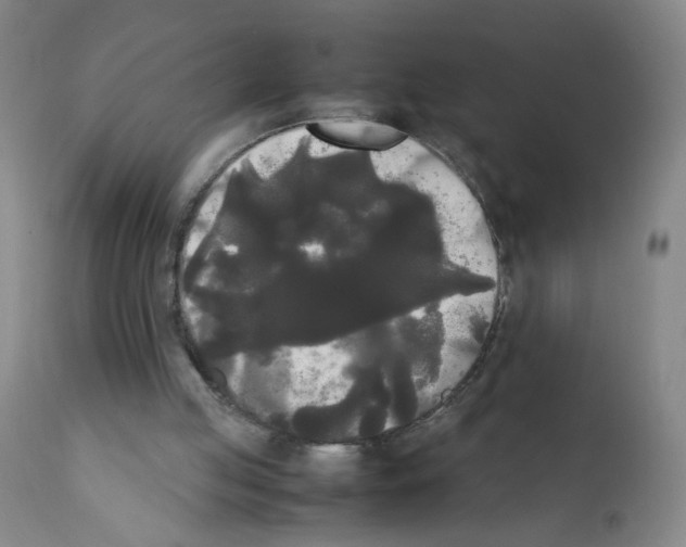X0000112070053200909151058