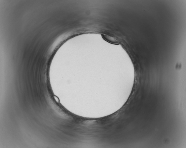 X0000112070054200909151058