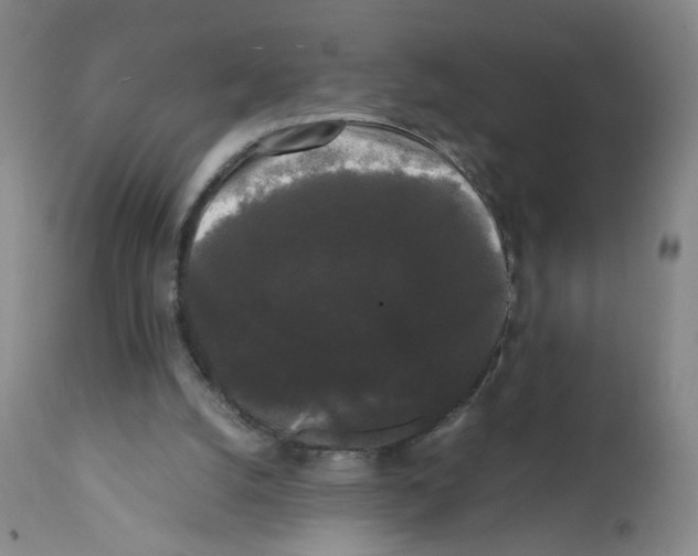 X0000112070056200909151058