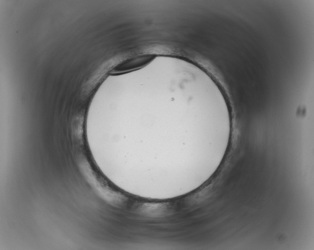 X0000112070057200909151058