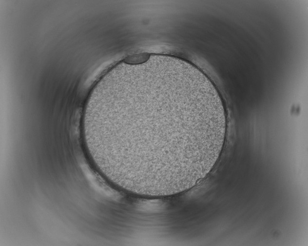 X0000112070058200909151058