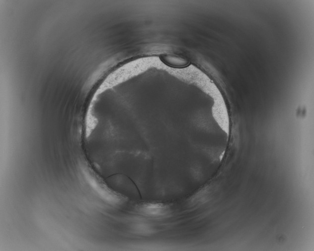 X0000112070059200909151058