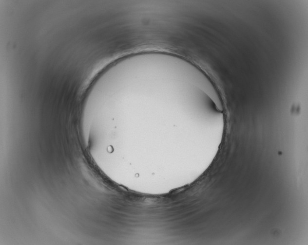 X0000112070060200909151058