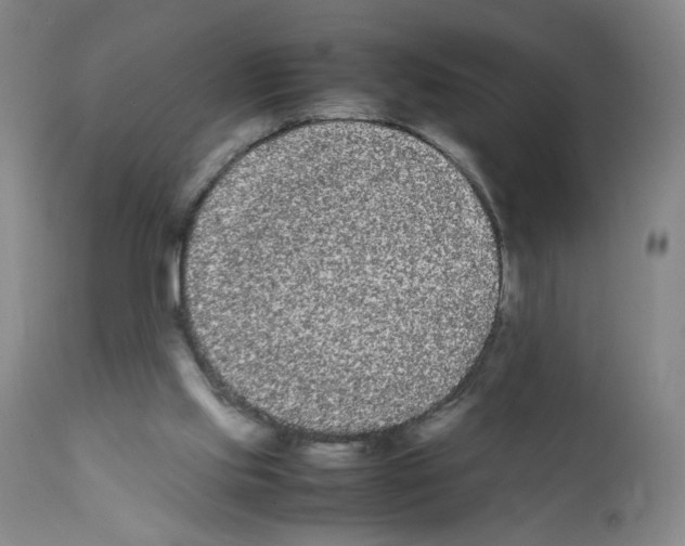 X0000112070061200909151058
