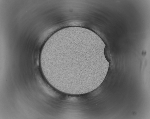 X0000112070062200909151058