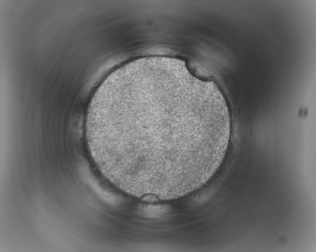 X0000112070063200909151058