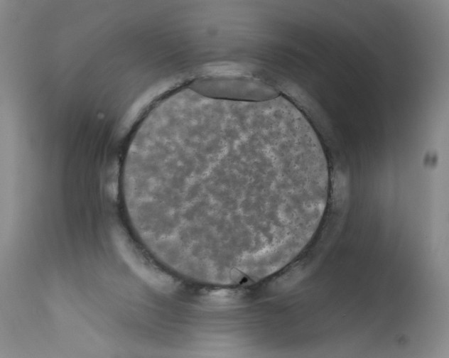 X0000112070064200909151058