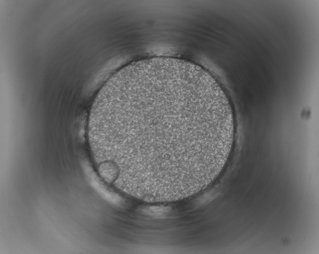 X0000112070065200909151058