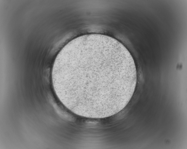 X0000112070066200909151058