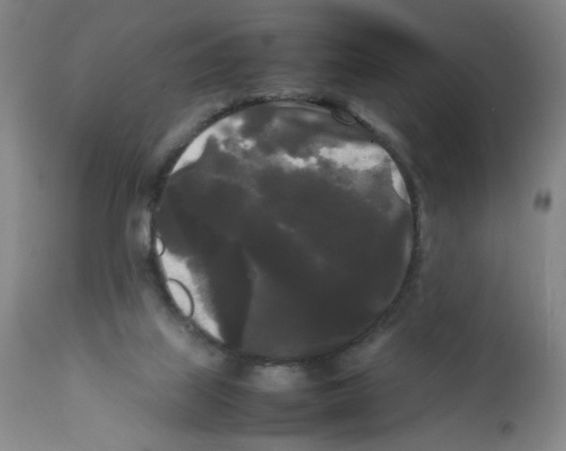 X0000112070067200909151058