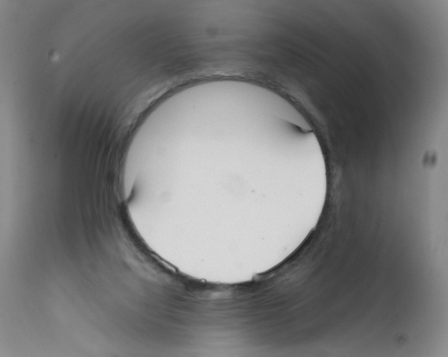 X0000112070068200909151058