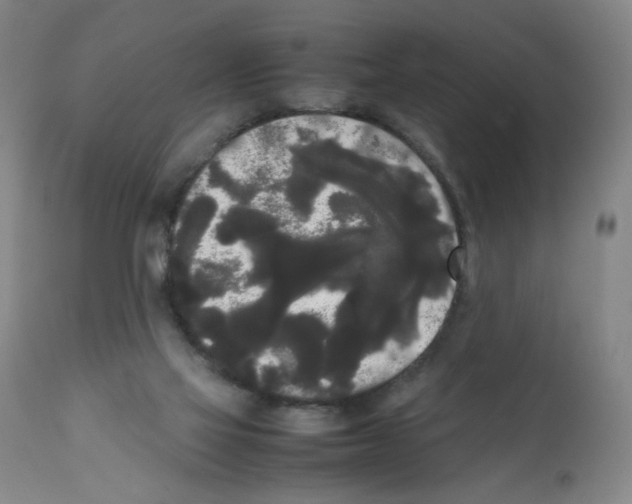 X0000112070069200909151058