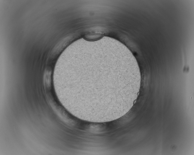X0000112070070200909151058