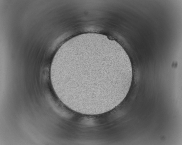X0000112070071200909151058
