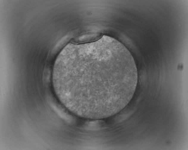X0000112070072200909151058