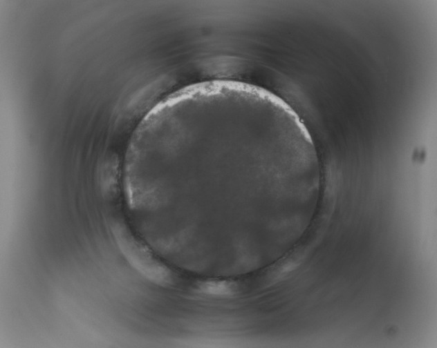 X0000112070073200909151058