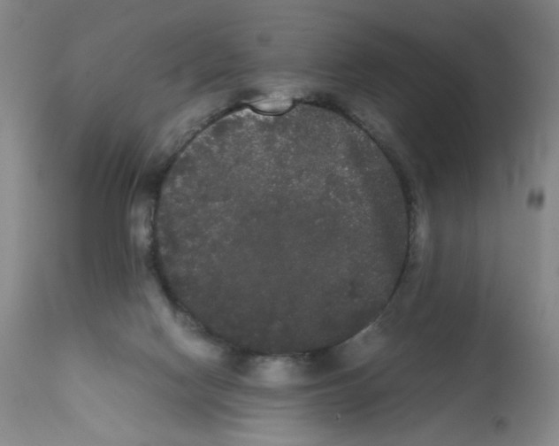 X0000112070074200909151058