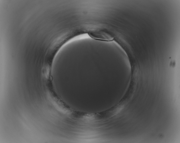 X0000112070076200909151058