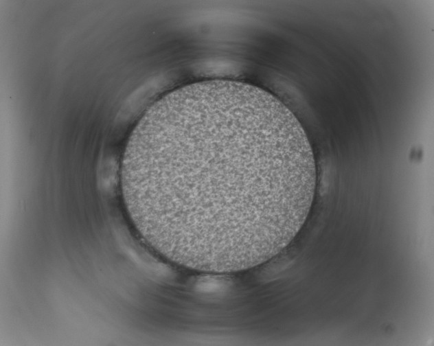 X0000112070077200909151058