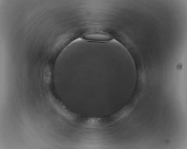 X0000112070080200909151058