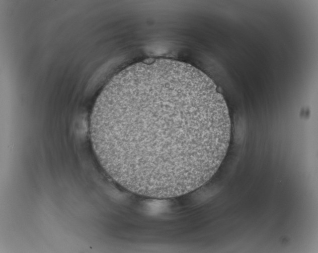 X0000112070085200909151058