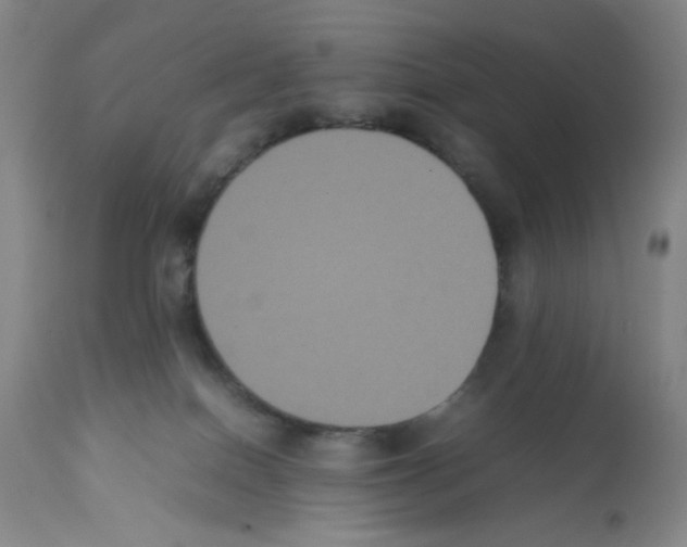 X0000112070086200909151058