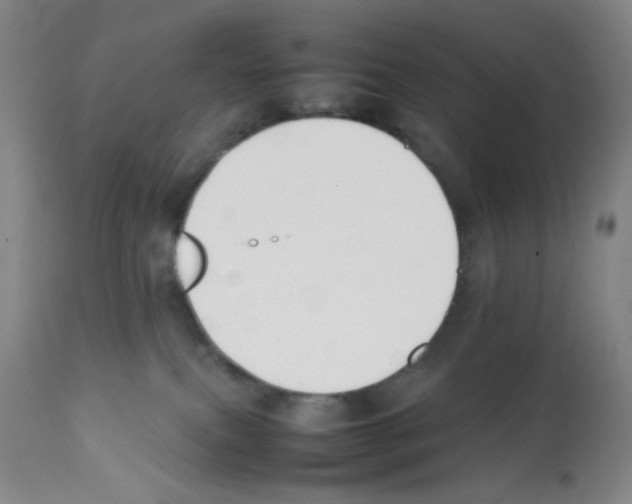 X0000112070087200909151058