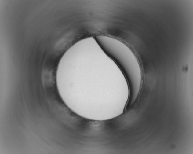 X0000112070088200909151058