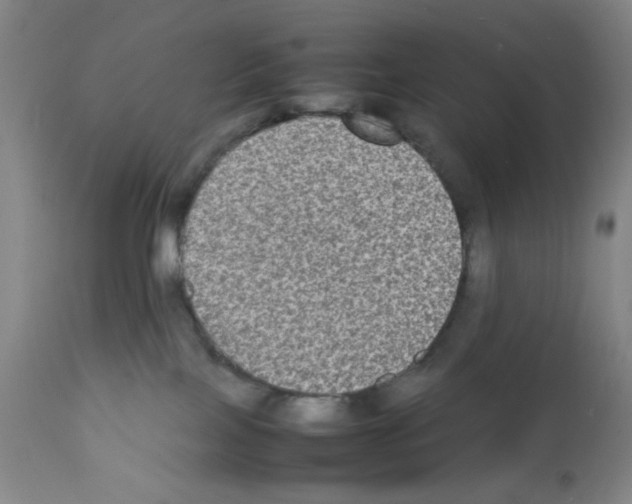 X0000112070089200909151058
