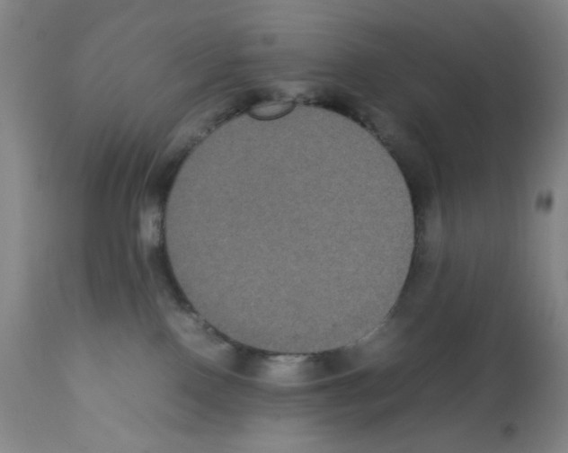 X0000112070090200909151058