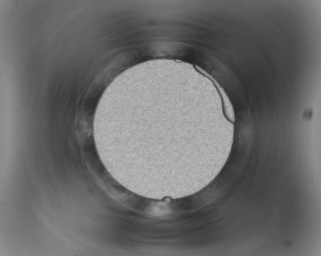 X0000112070091200909151058