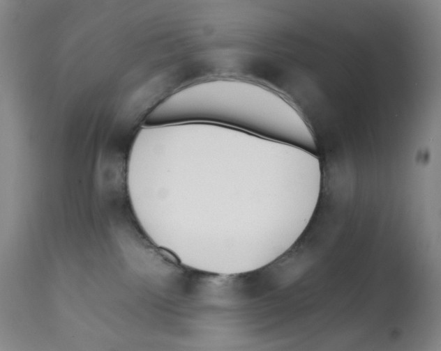 X0000112070092200909151059