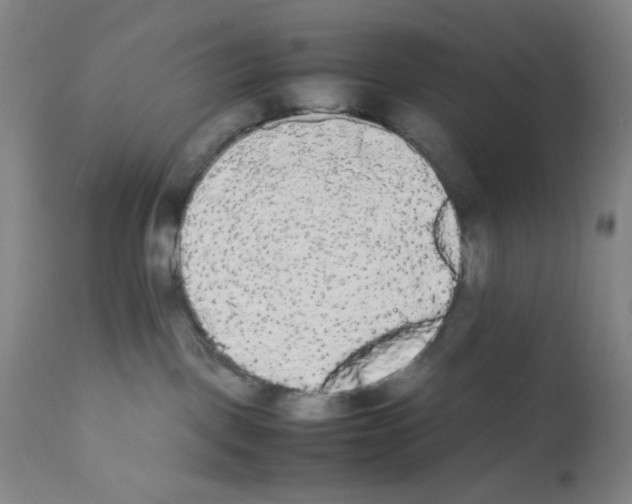X0000112070093200909151059