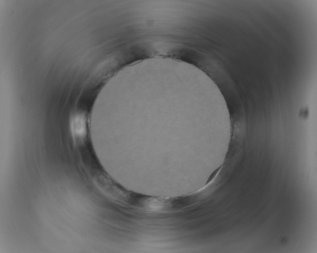 X0000112070094200909151059