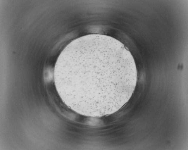 X0000112070095200909151059