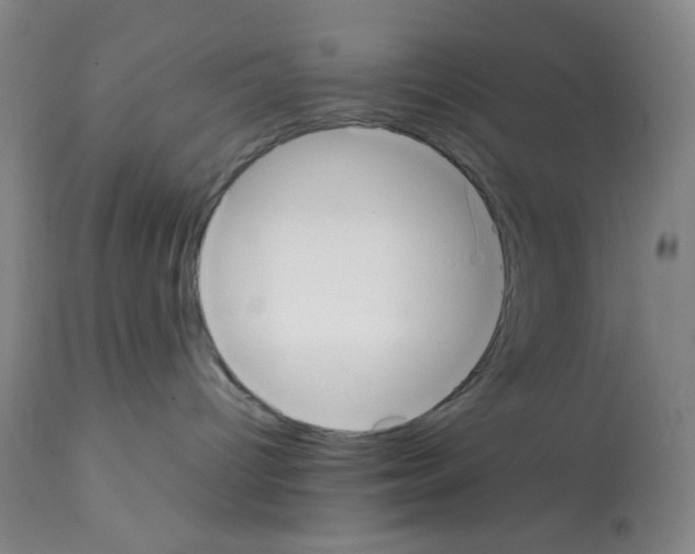 X0000112070096200909151059