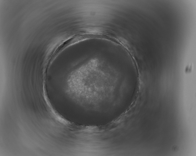 X0000112070097200909151058