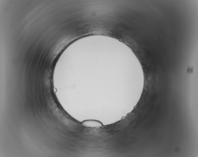 X0000112070098200909151058