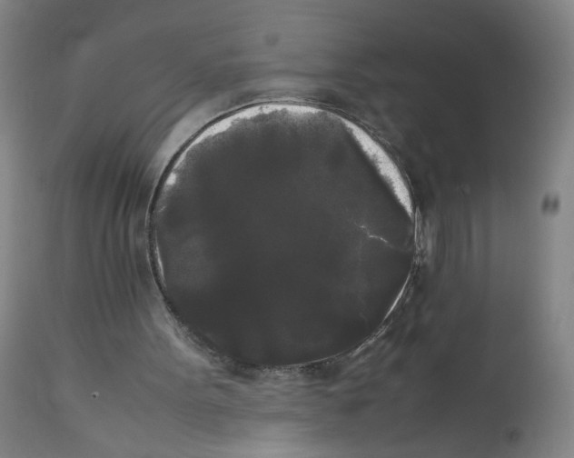 X0000112070099200909151058