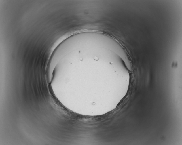 X0000112070100200909151058
